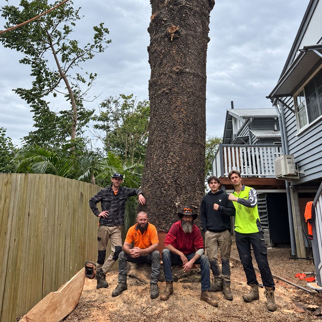 Five of our crew at the base of a tall trunk, between a fence and a house