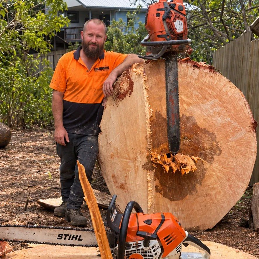 One of our crew leaning on a big round cut from a tree trunk, with two chainsaws