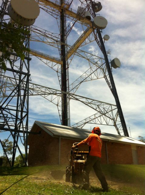 Crew member running a stump grinder beside a communications tower