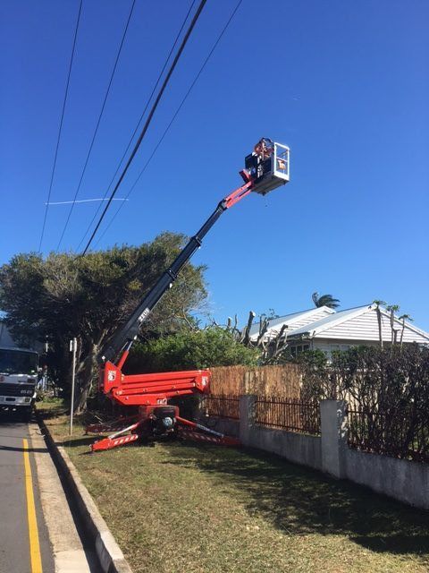 Our elevated work platform extended high over the street power lines to reach a tree beside a house