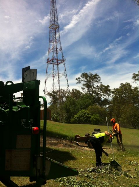 Crew feeding branches into a wood chipper on a grassy slope: where our mulch comes from