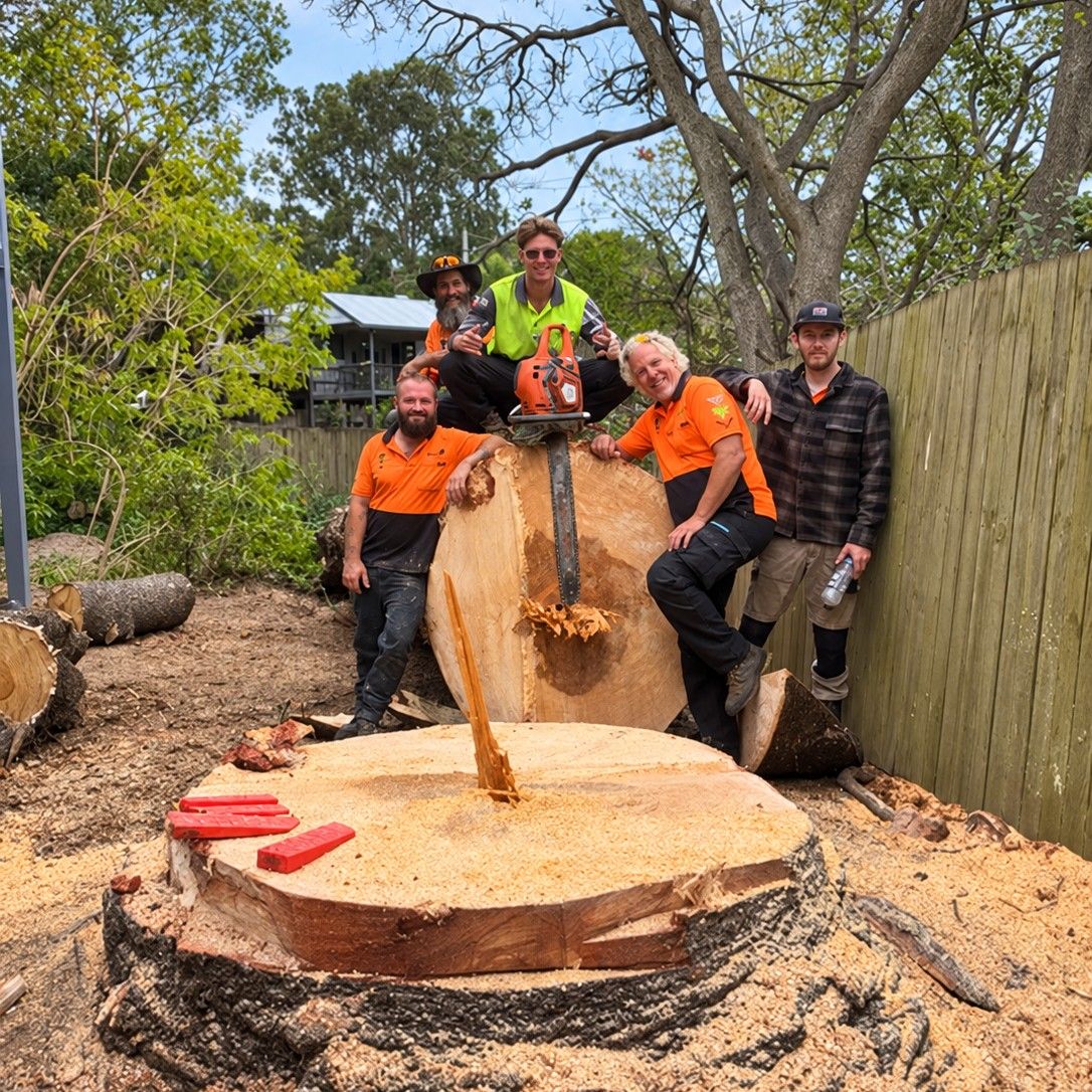 Five of the crew around a big round cut from a trunk, with a chainsaw on top