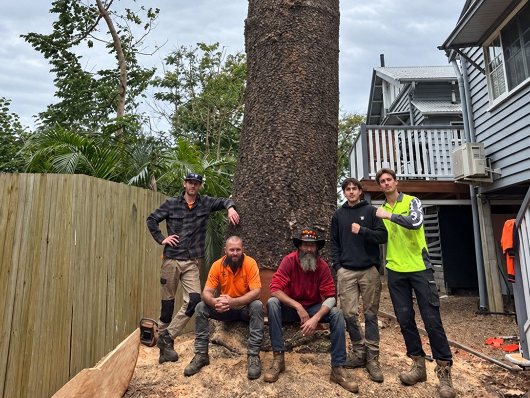 Five of our crew at the base of a tall trunk, between a fence and a house