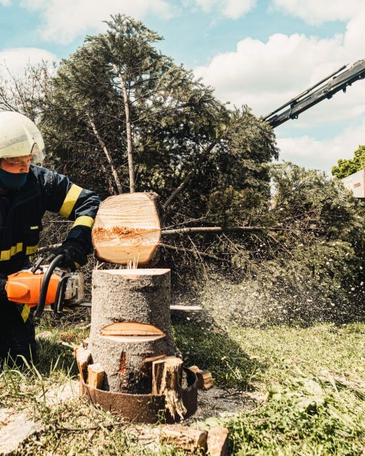 stump removing